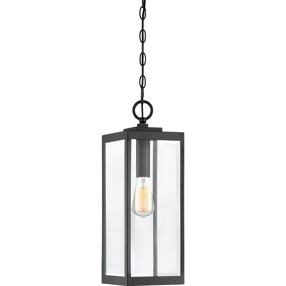 Westover Steel Hanging Light