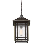 Cedar Point Hanging Light