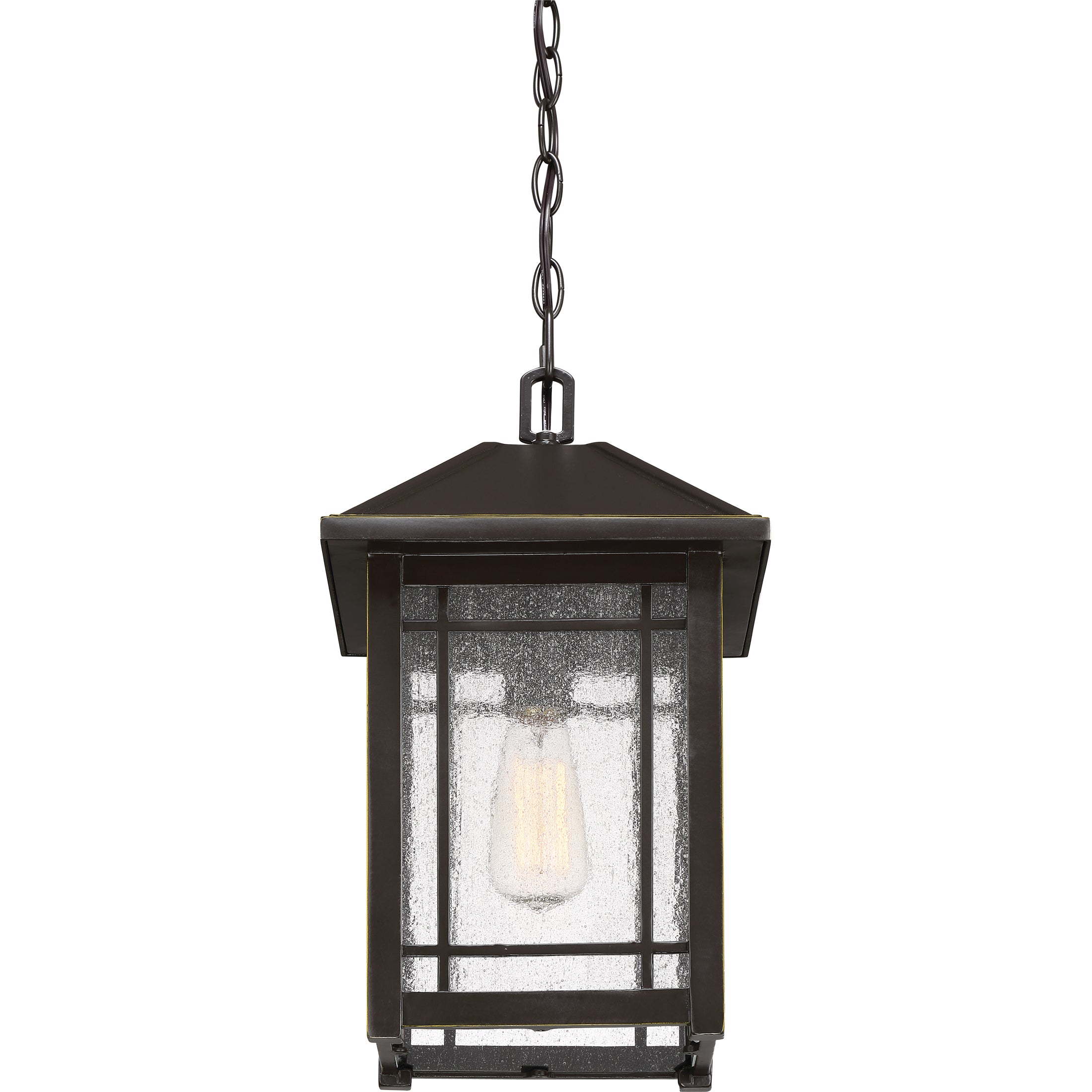Cedar Point Hanging Light