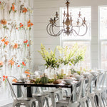Auburn Chandelier