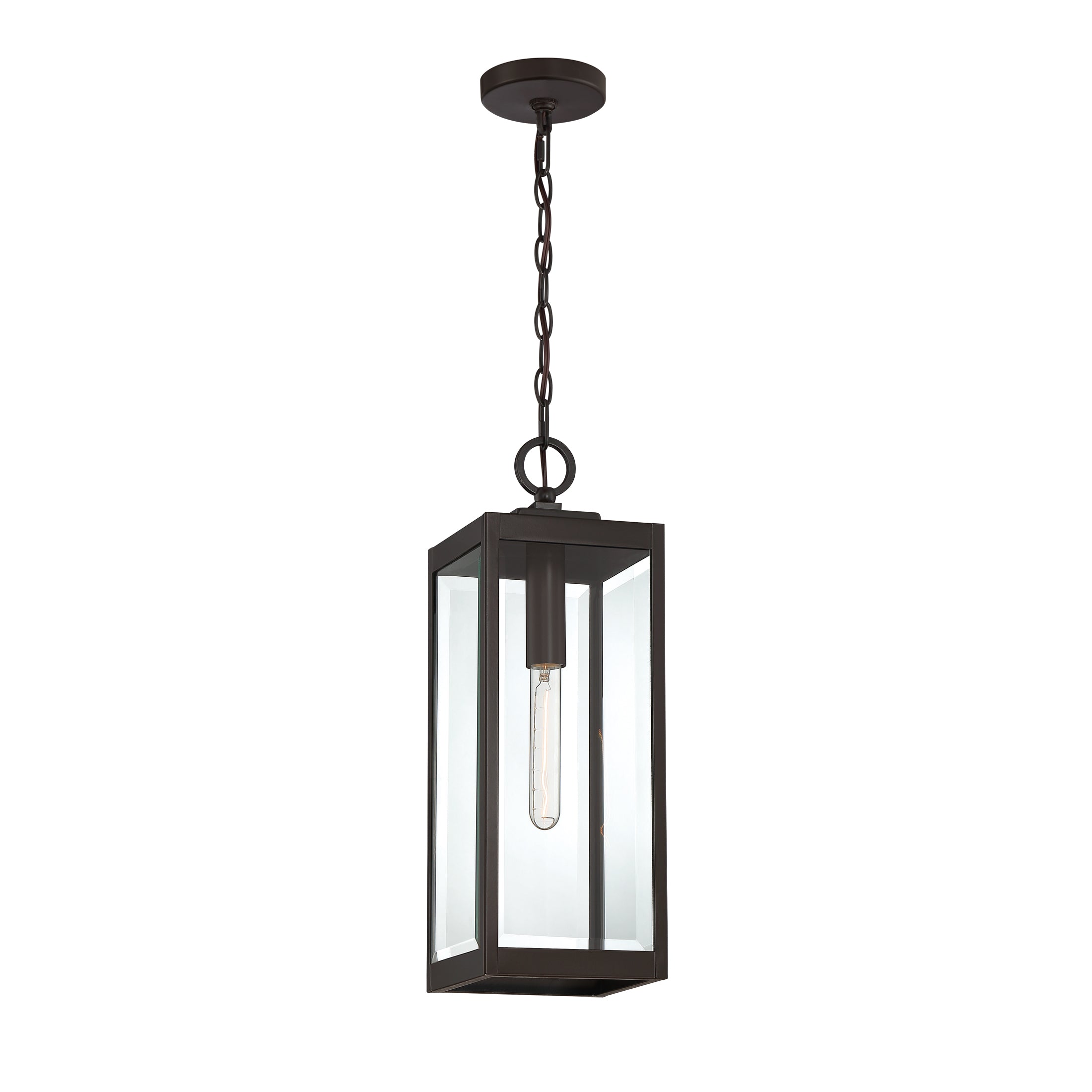 Westover Steel Hanging Light