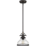 Grant Mini Pendant with Clear Seeded Glass