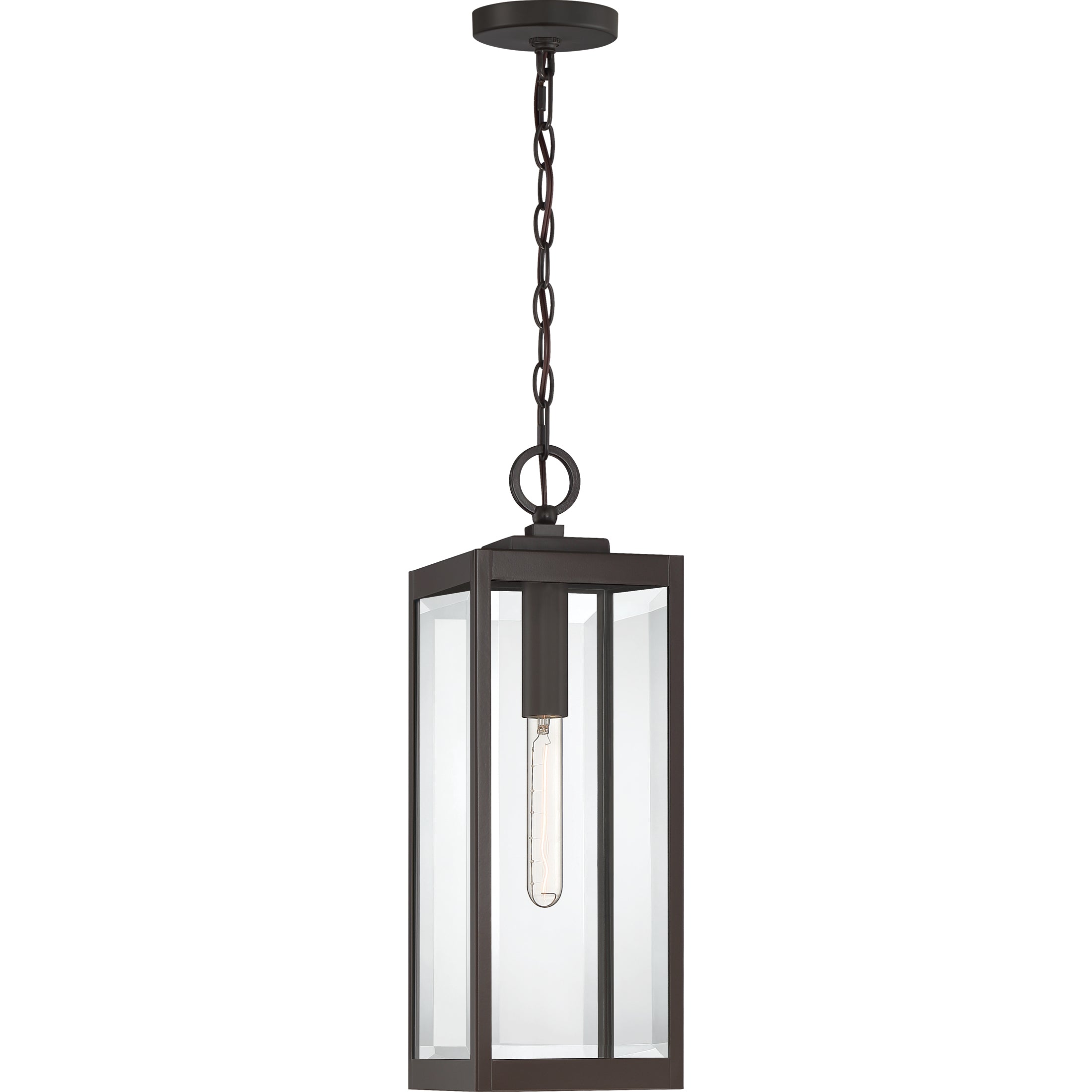 Westover Steel Hanging Light