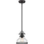Grant Mini Pendant with Clear Seeded Glass