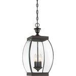 Oasis Hanging Light