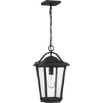 Darius Hanging Light
