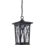 Grover Hanging Light