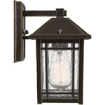 Cedar Point Wall Light