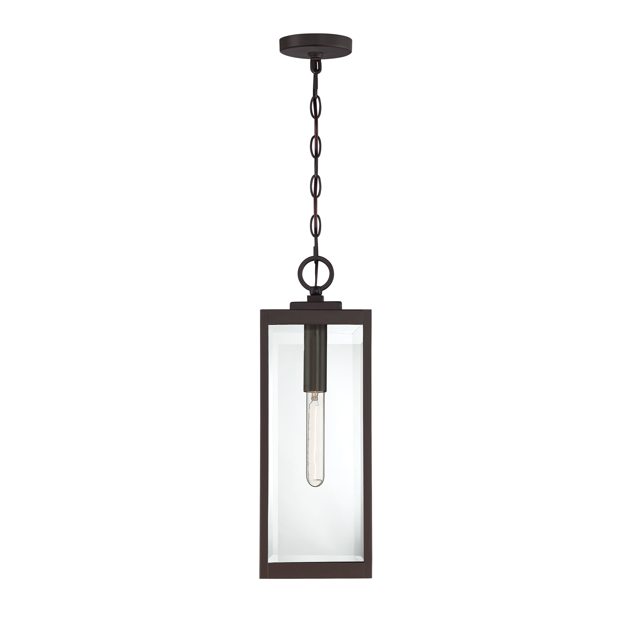 Westover Steel Hanging Light