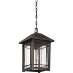 Cedar Point Hanging Light
