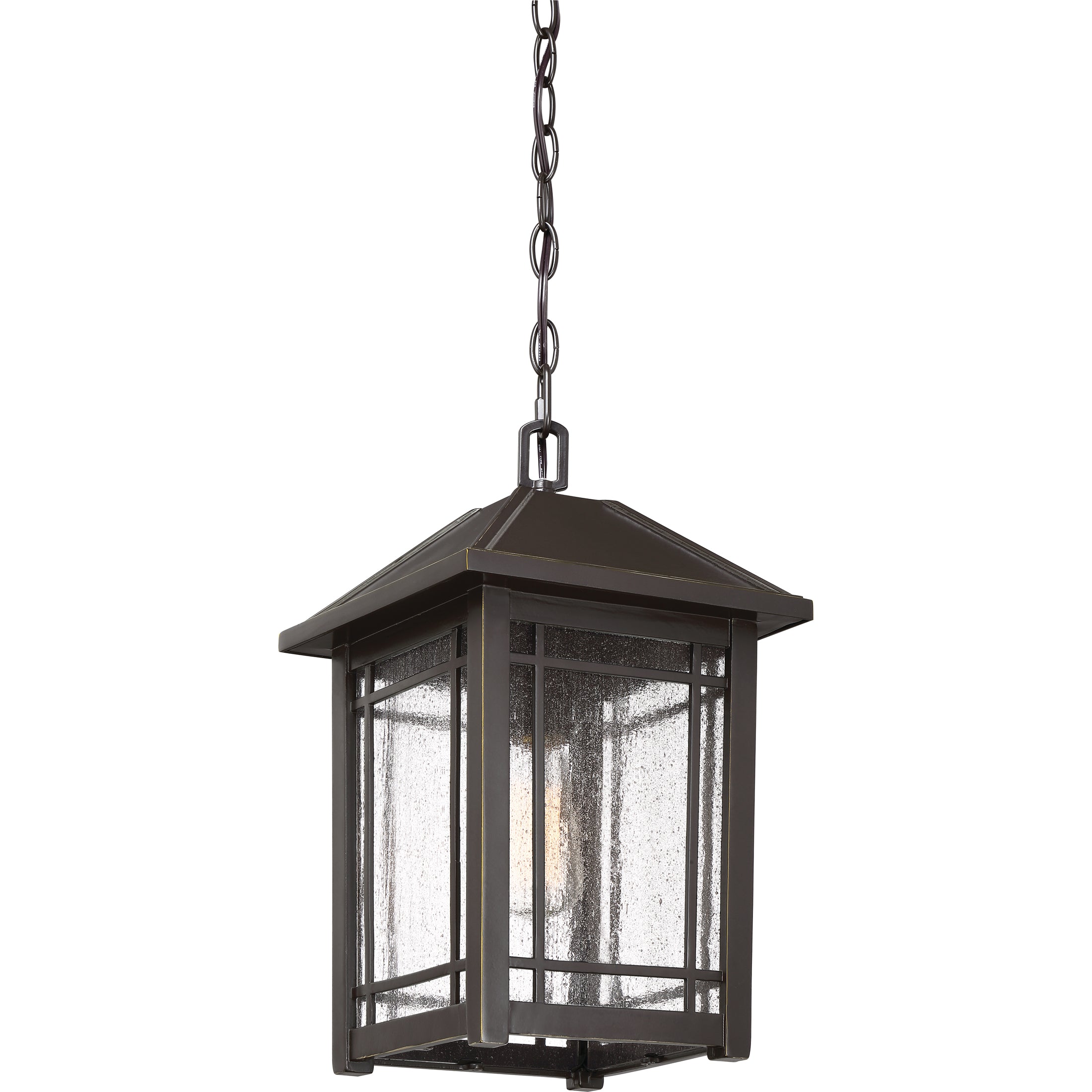 Cedar Point Hanging Light