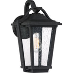 Darius Wall Light