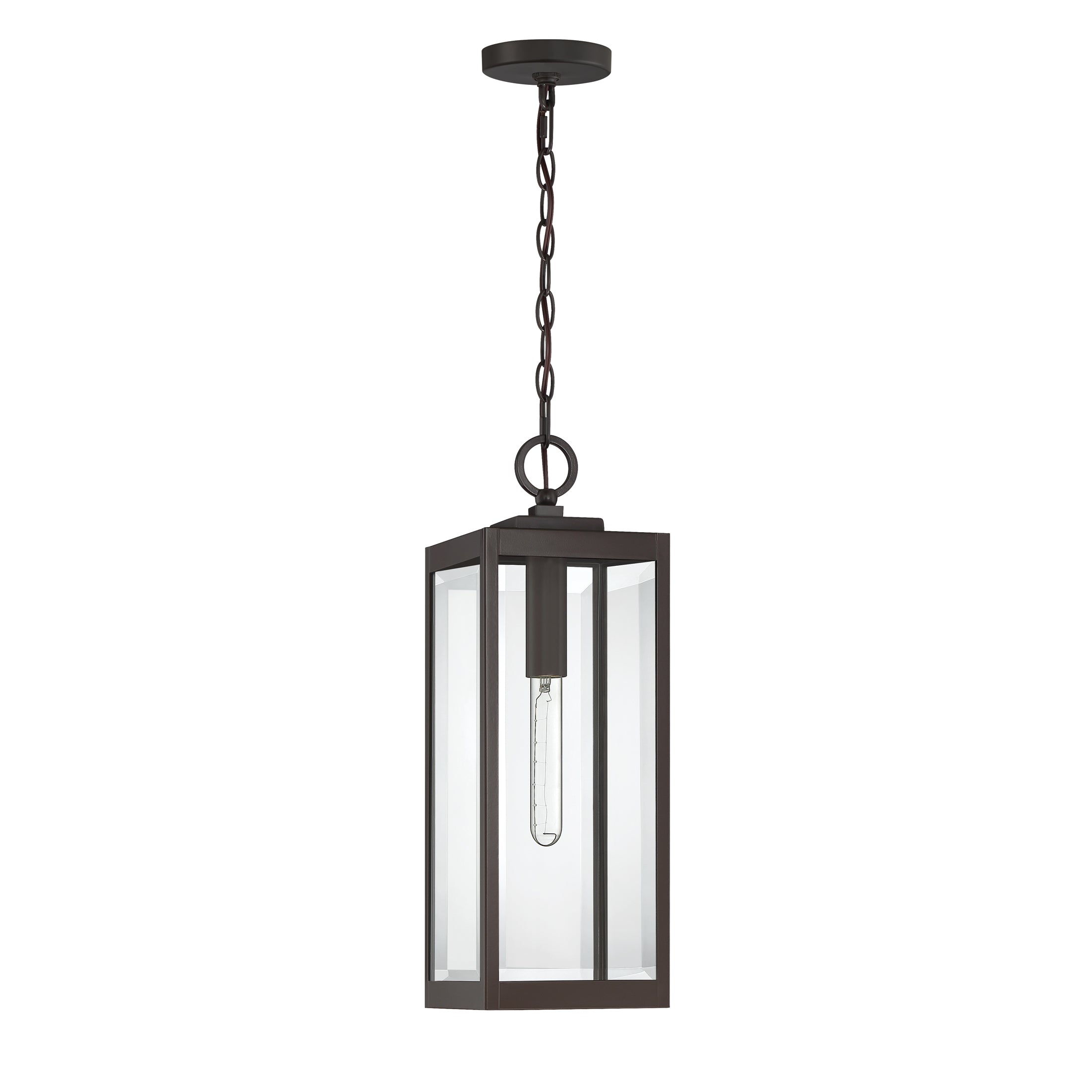 Westover Steel Hanging Light