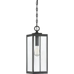 Westover Steel Hanging Light