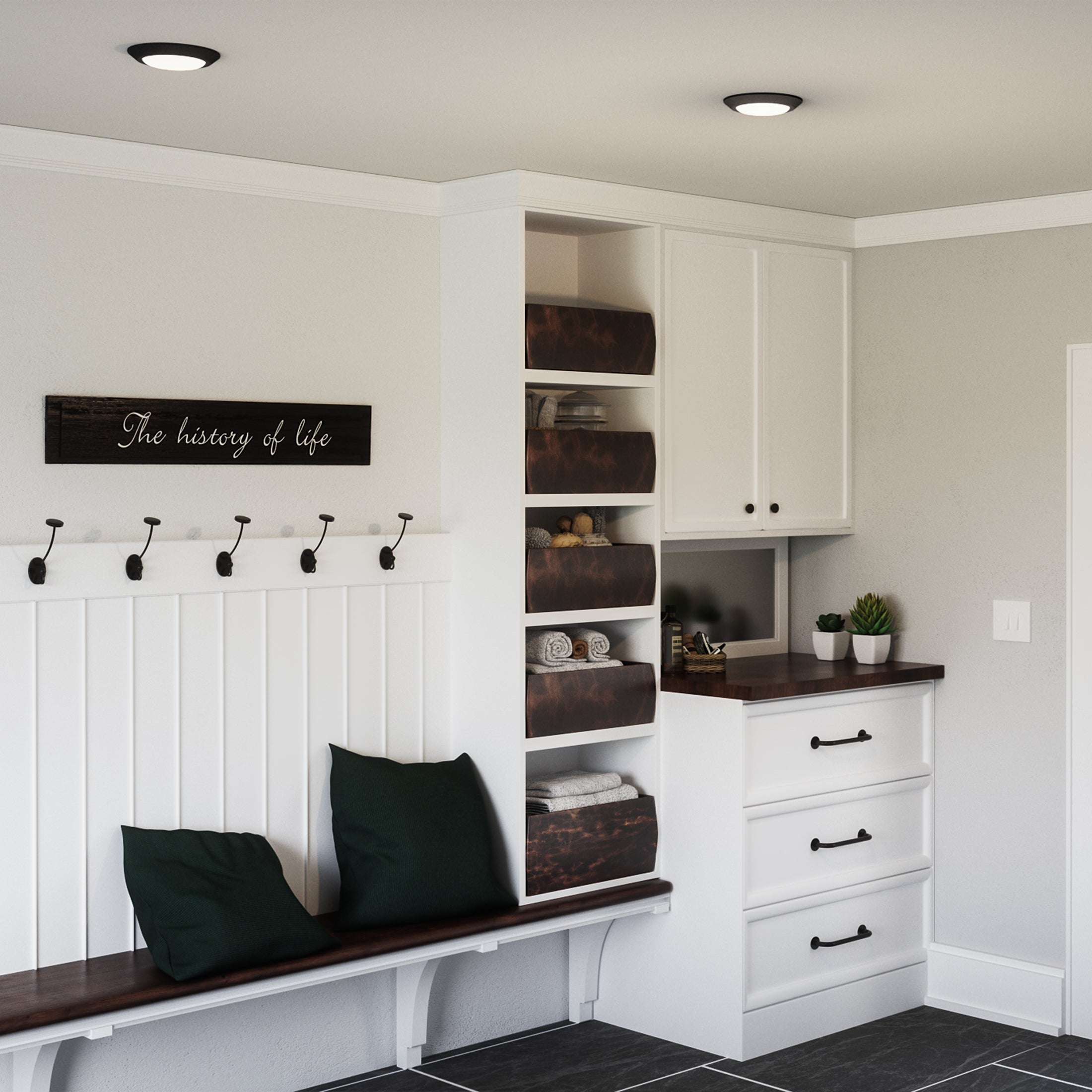 Verge Flush Mount