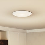 Verge Flush Mount