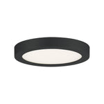 Outskirts Round Flush Mount