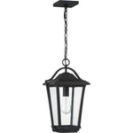 Darius Hanging Light