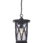 Grover Hanging Light
