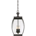 Oasis Hanging Light