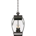 Oasis Hanging Light