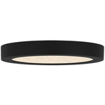 Outskirts Flush Mount CCT