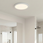 Outskirts Round Flush Mount