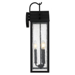 Damian Wall Light