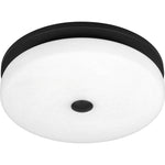 Tavani Flush Mount
