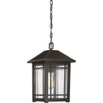 Cedar Point Hanging Light