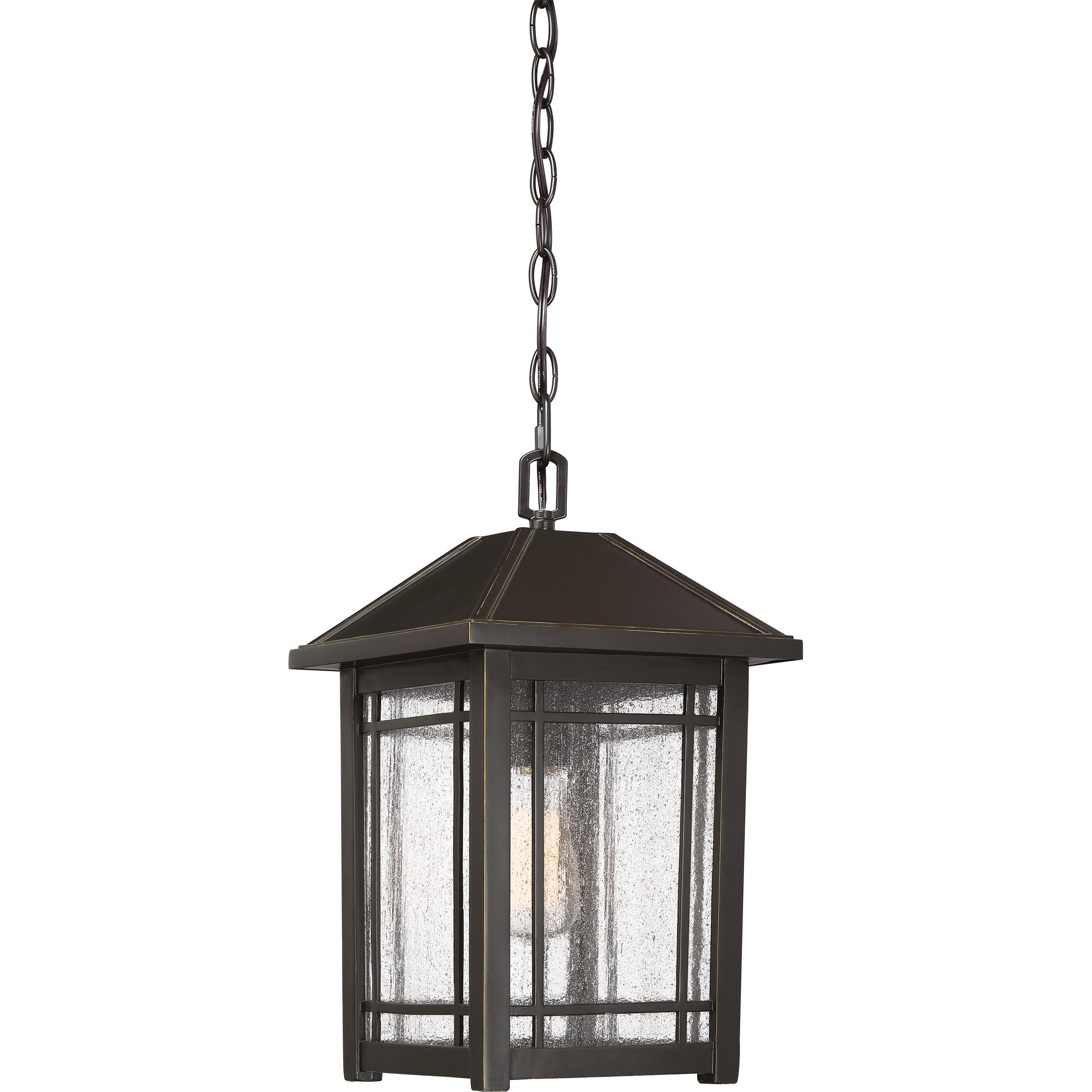 Cedar Point Hanging Light