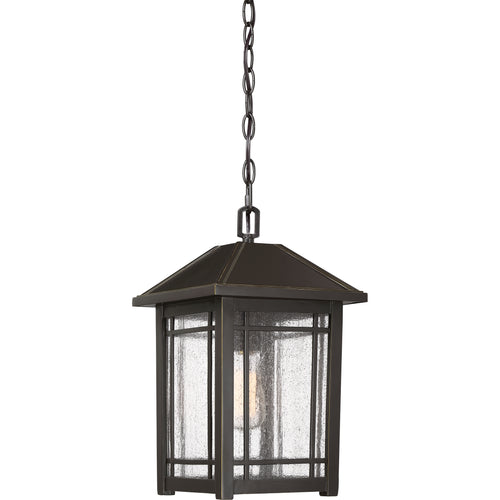 Cedar Point Hanging Light