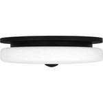 Tavani Flush Mount