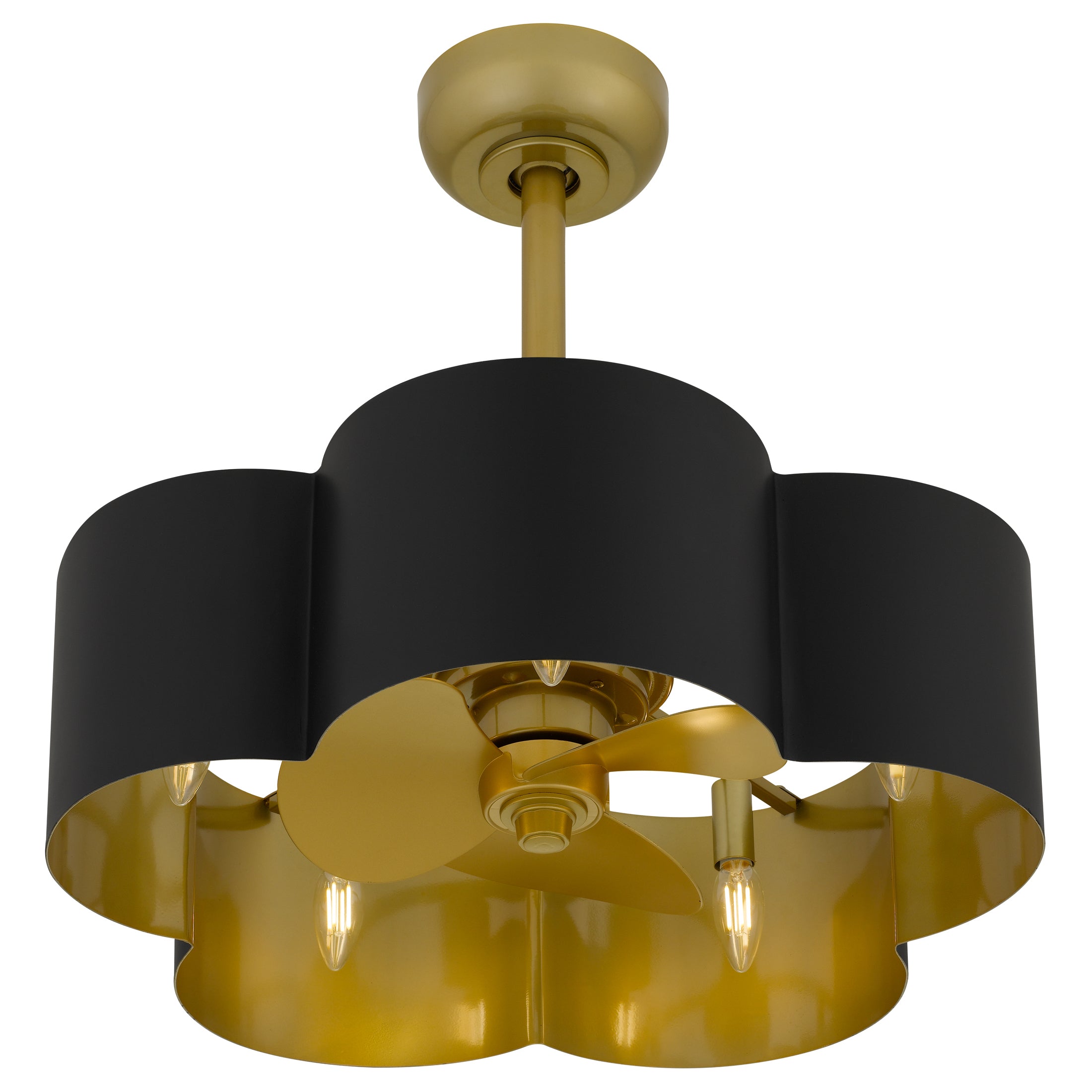 Balsam Fan Light
