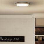 Outskirts Round Flush Mount