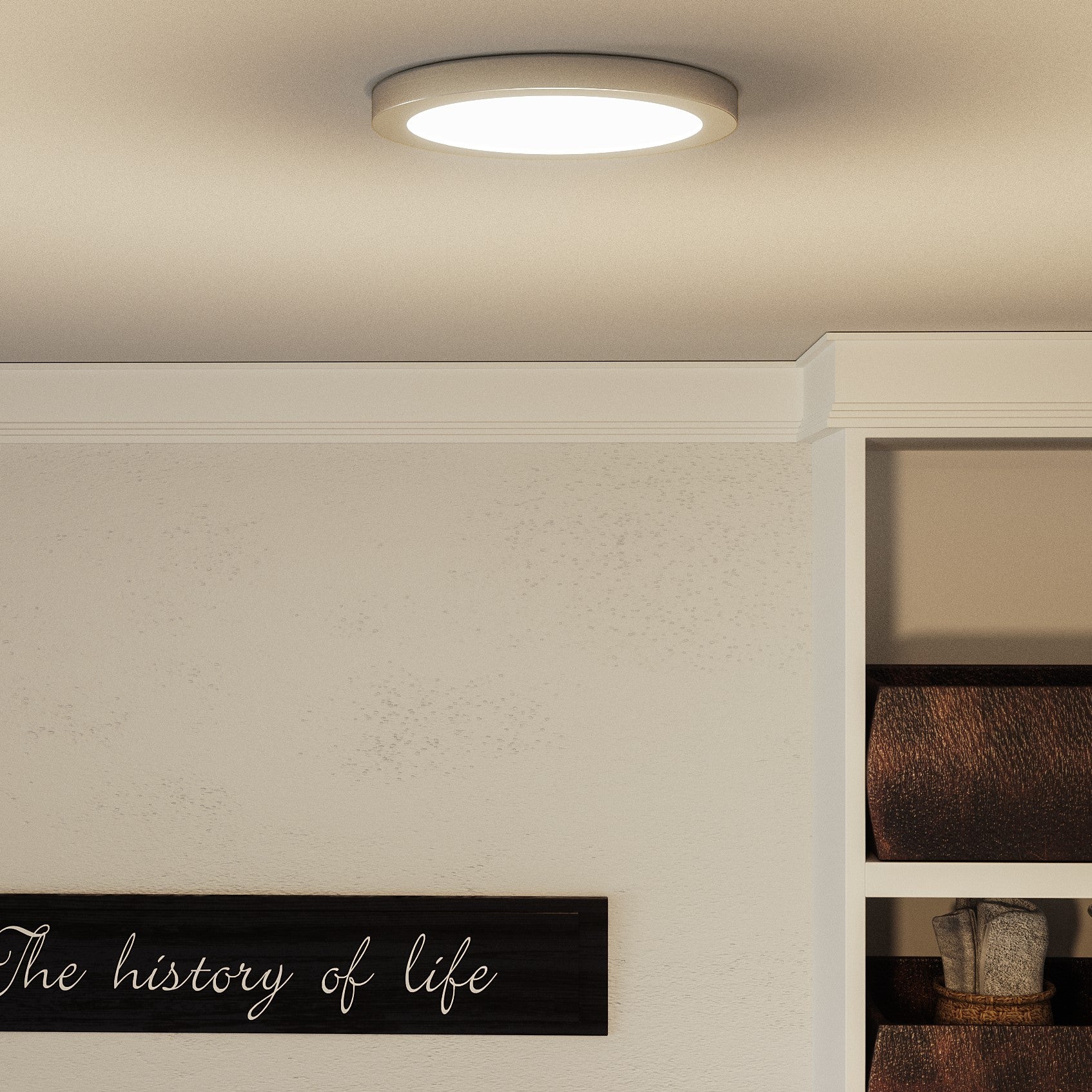 Outskirts Round Flush Mount