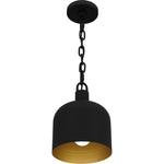 Raquel Mini Pendant