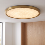 Outskirts Flush Mount CCT