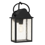 Damian Wall Light