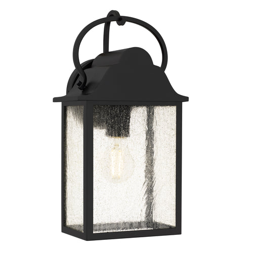Damian Wall Light
