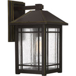 Cedar Point Wall Light