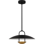 Bingham Pendant