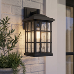 Stonington Wall Light
