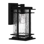 McAlister Wall Light