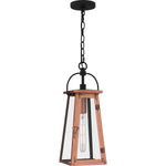 Carolina Hanging Light
