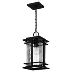 McAlister Hanging Light