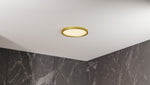 Outskirts Flush Mount CCT