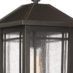 Cedar Point Hanging Light