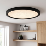 Outskirts Flush Mount CCT