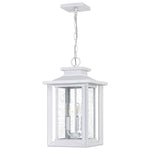 Wakefield Hanging Light